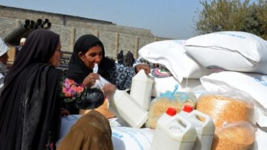 40 pc Afghans face acute food insecurity this winter, warn FAO and WFP