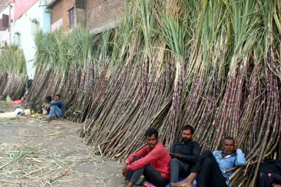 Centre forms panel to look into issues raised by sugarcane farmers