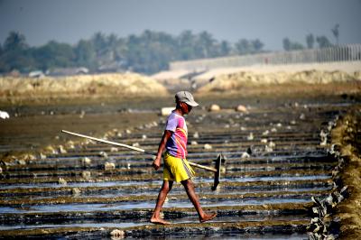 Rising pesticide, chemical fertiliser use creating major environmental concern in Bangladesh
