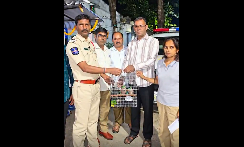 Hyderabad Police Rescue Four Palapittas Ahead of Dasara, Warn Against Capturing Birds Hyderabad Police Rescue Four Palapittas Ahead of Dasara, Warn Against Capturing Birds