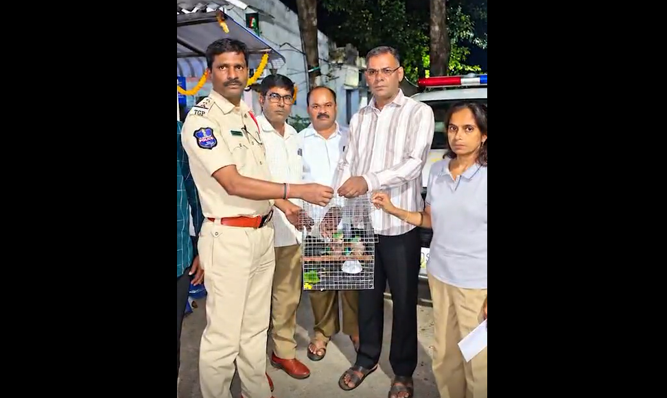 Hyderabad Police Rescue Four Palapittas Ahead of Dasara, Warn Against Capturing Birds Hyderabad Police Rescue Four Palapittas Ahead of Dasara, Warn Against Capturing Birds