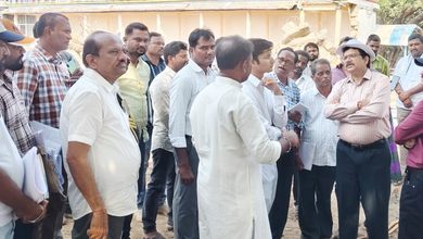 Endowments Commissioner inspects Godavari Pushkaralu, Kaleshwaram temple works